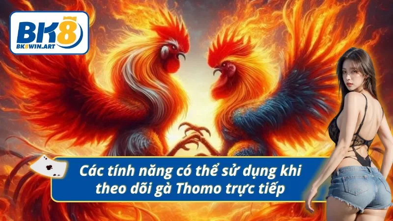  03 tính năng bổ ích mà các kê thủ có thể sử dụng khi theo dõi gà trực tiếp